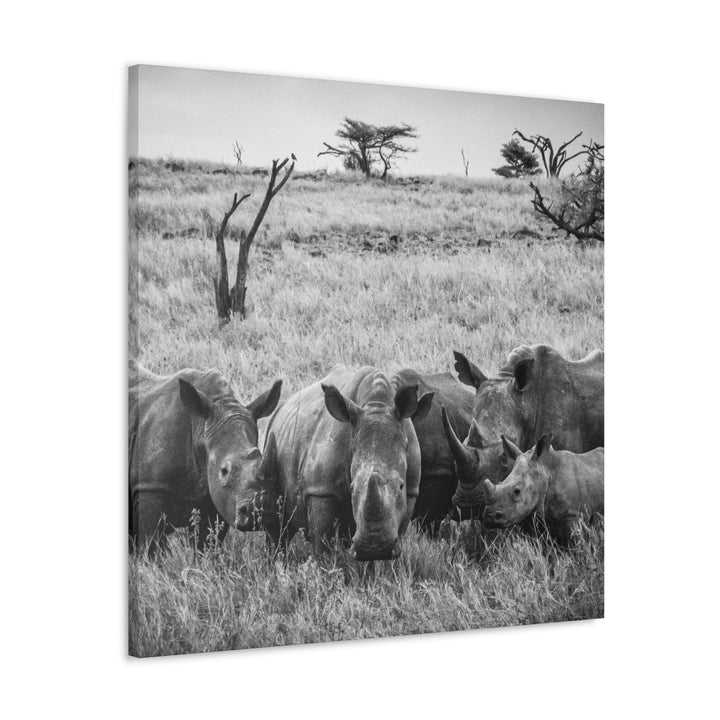 Rhino Family in Black and White - Canvas