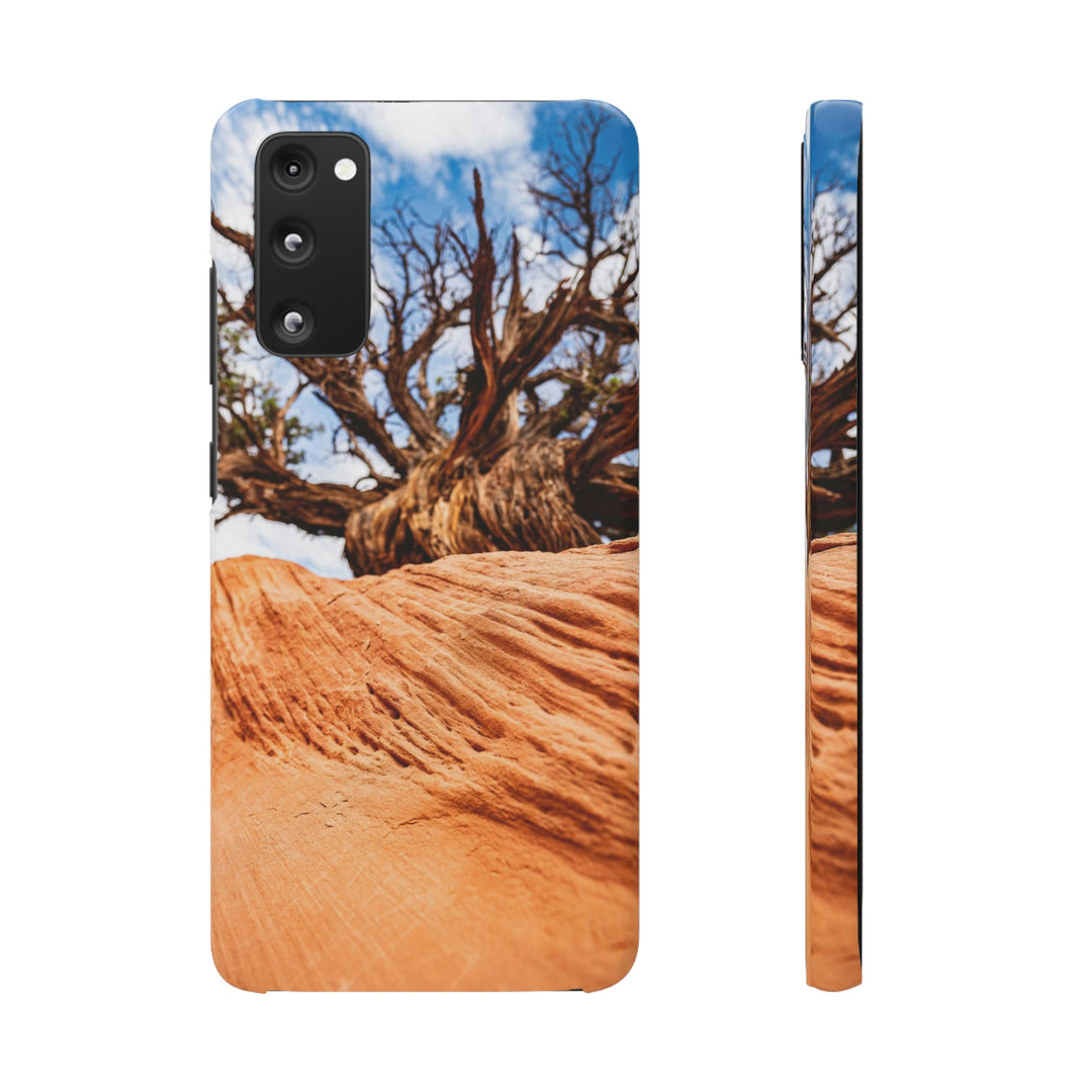 Desert Reach - Phone Case