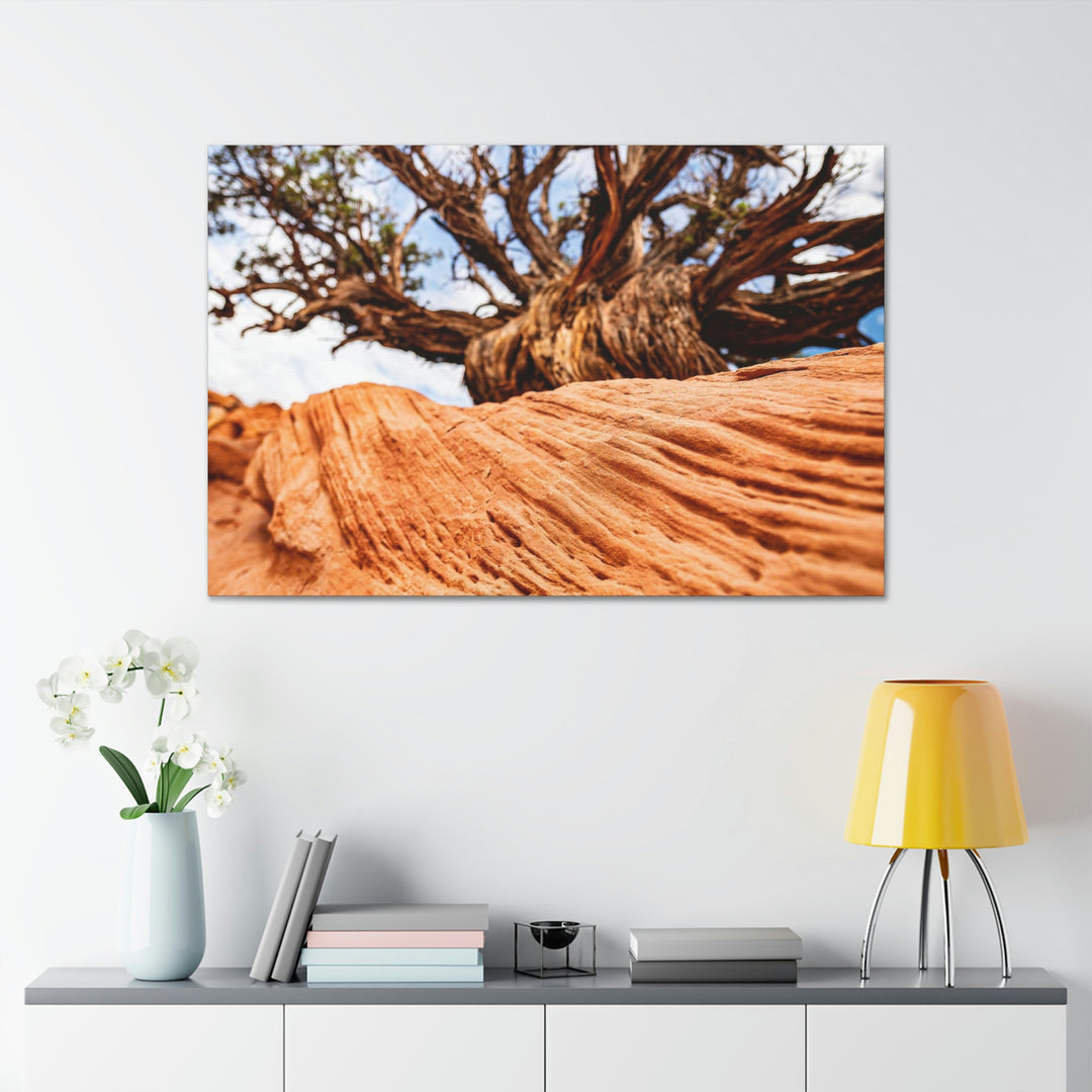 Desert Reach - Canvas