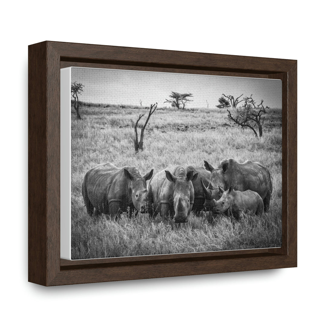 Rhino Family in Black and White - Canvas with Frame