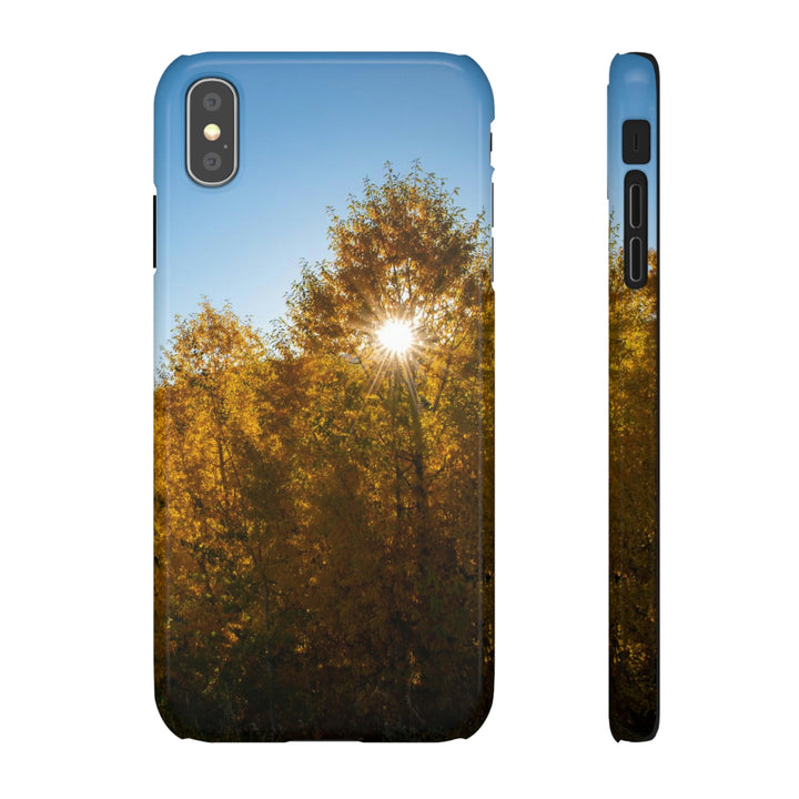 Sun Through the Aspens - Phone Case