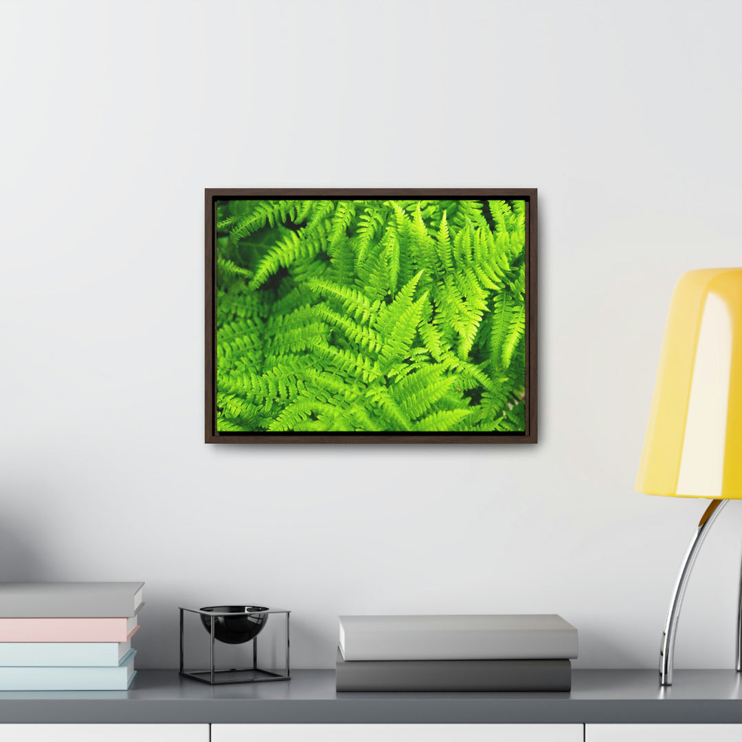 Ferns, Ferns, Ferns - Canvas with Frame