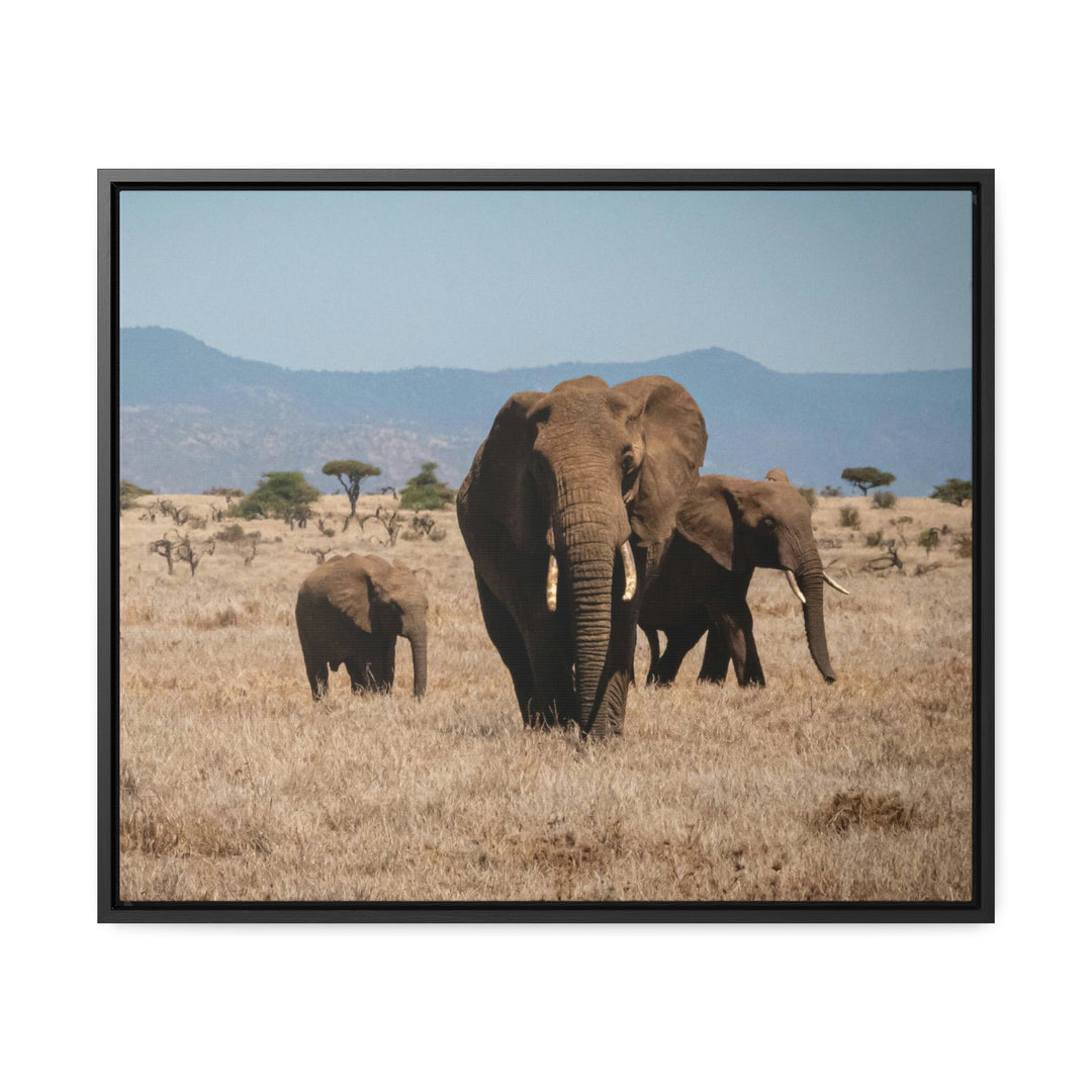 Family March - Canvas With Frame