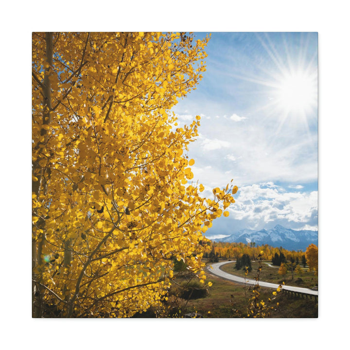 Golden Sunshine - Canvas