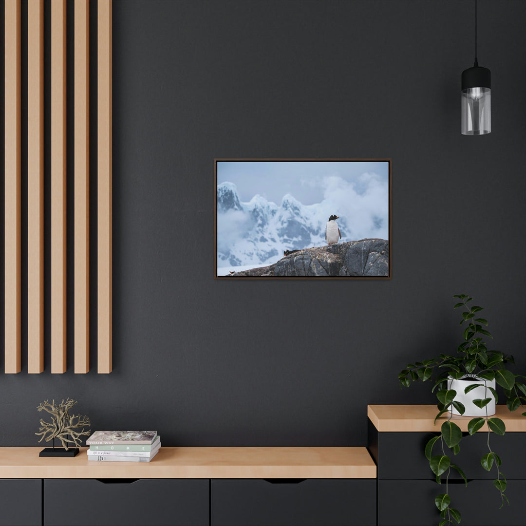 Poised Penguin - Canvas with Frame