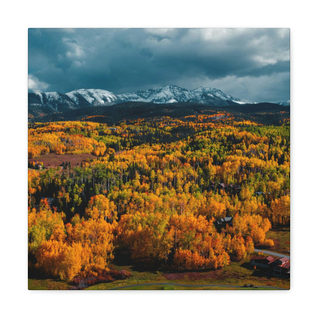 Golds of Autumn - Canvas