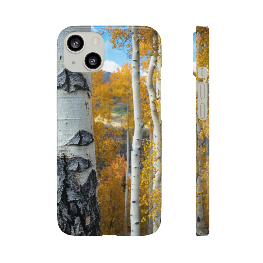 Aspens Changing - Phone Case