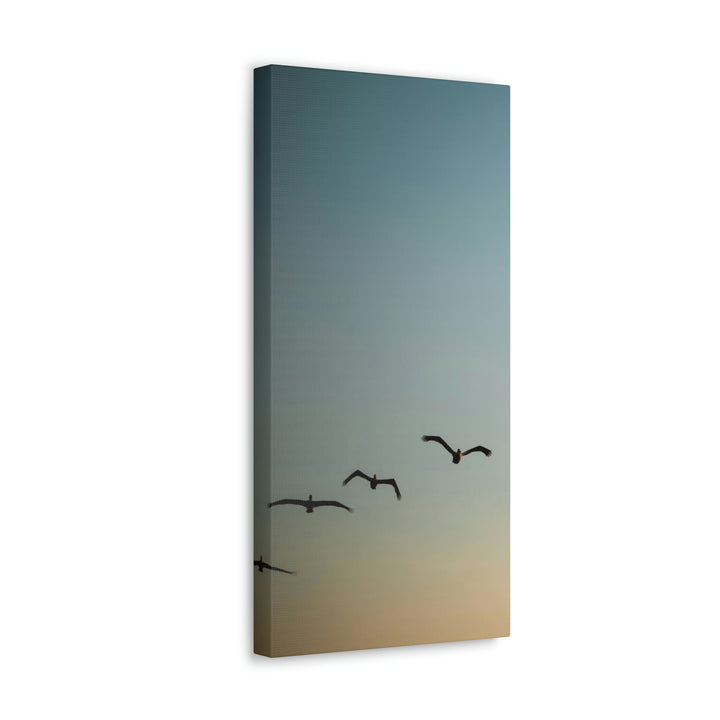 Brown Pelicans in Flight - Canvas