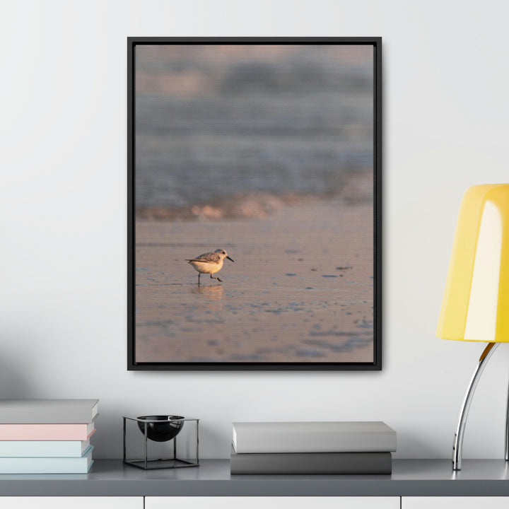 Sanderling in Soft Dusk Light - Canvas with Frame