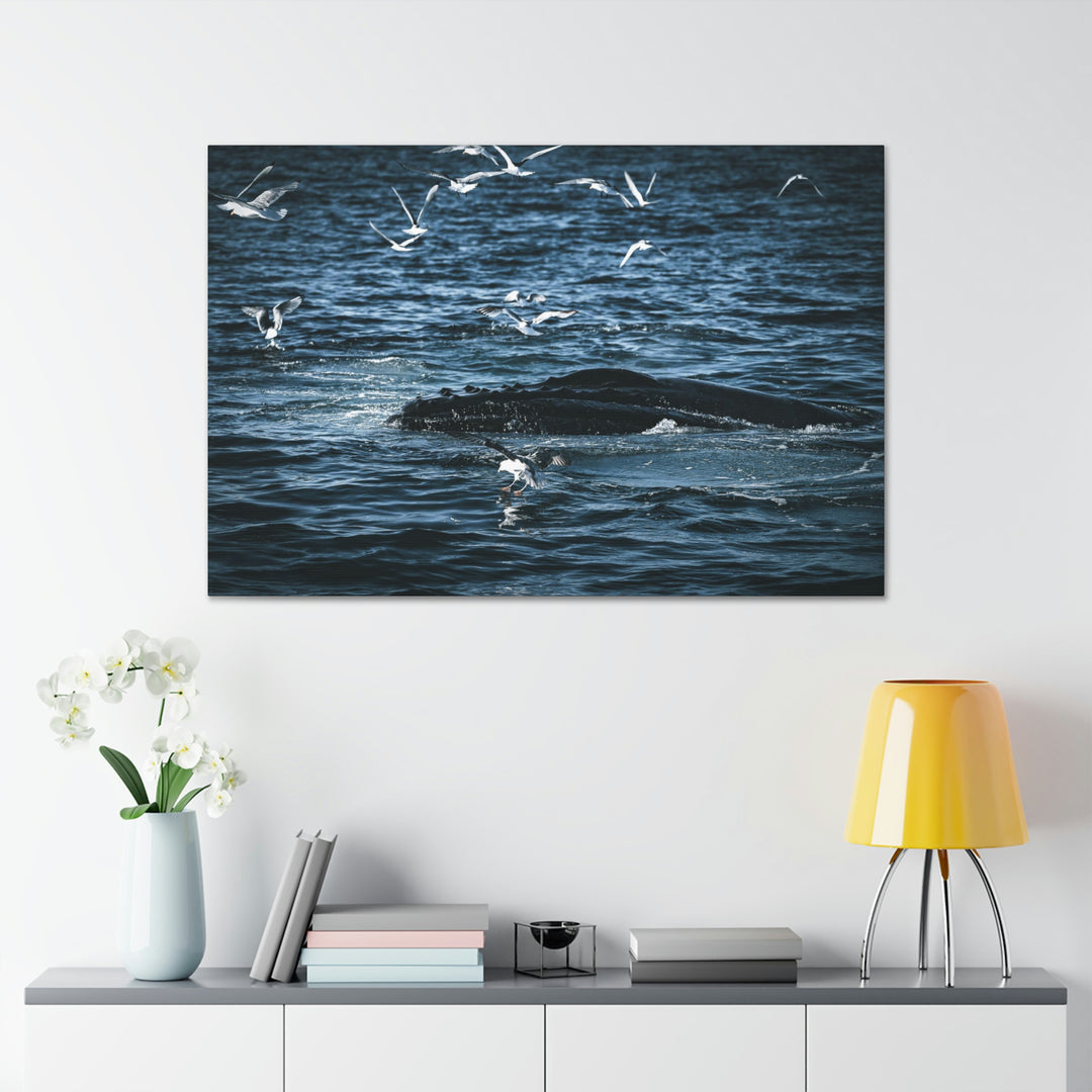 Humpback Hello - Canvas