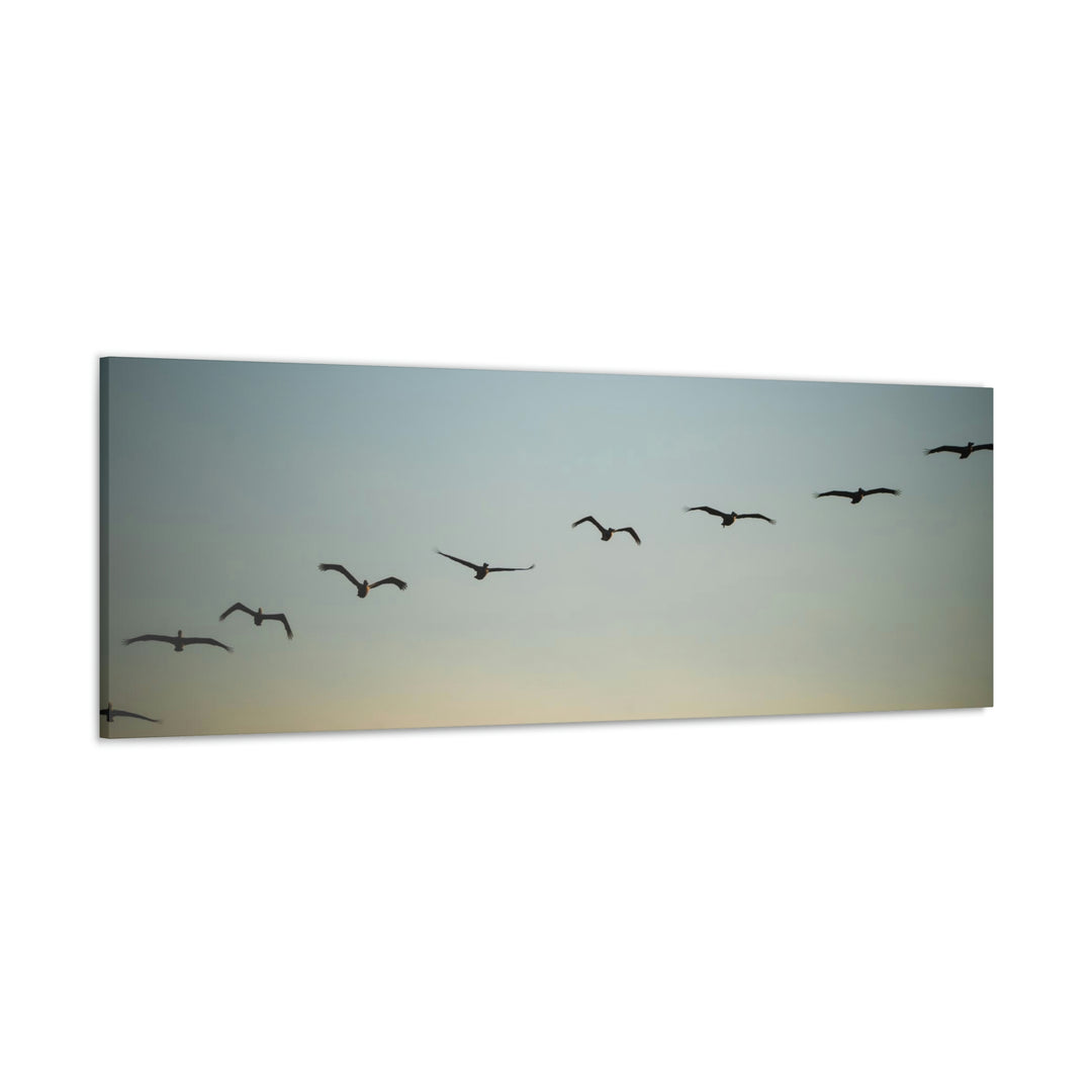 Brown Pelicans in Flight - Canvas