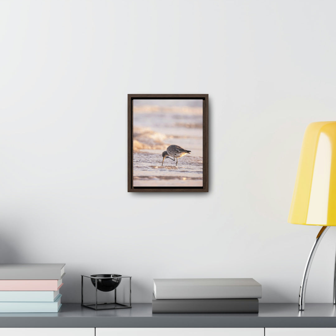 Willet Itch - Canvas with Frame