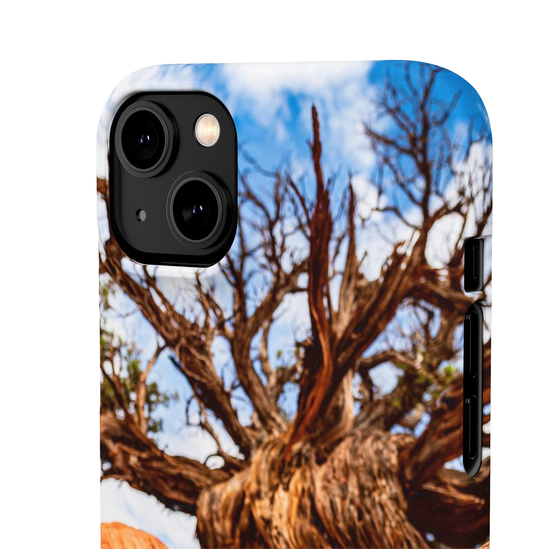 Desert Reach - Phone Case