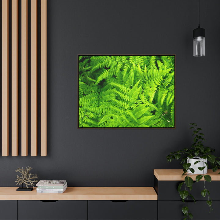 Ferns, Ferns, Ferns - Canvas with Frame