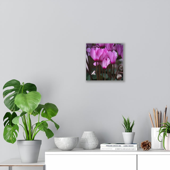 Cyclamen Reach - Canvas