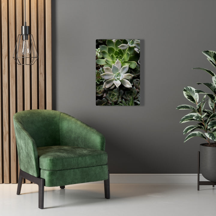 Succulent - Array - Canvas