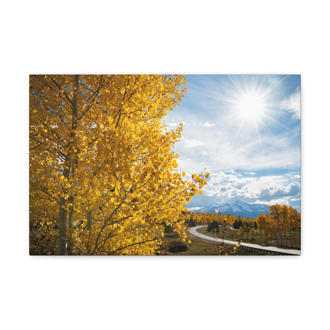 Golden Sunshine - Canvas