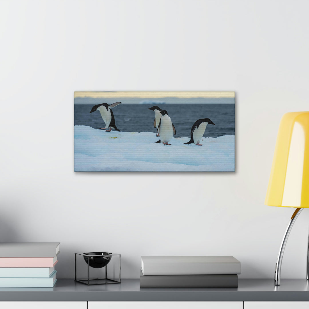 Penguin Dance - Canvas