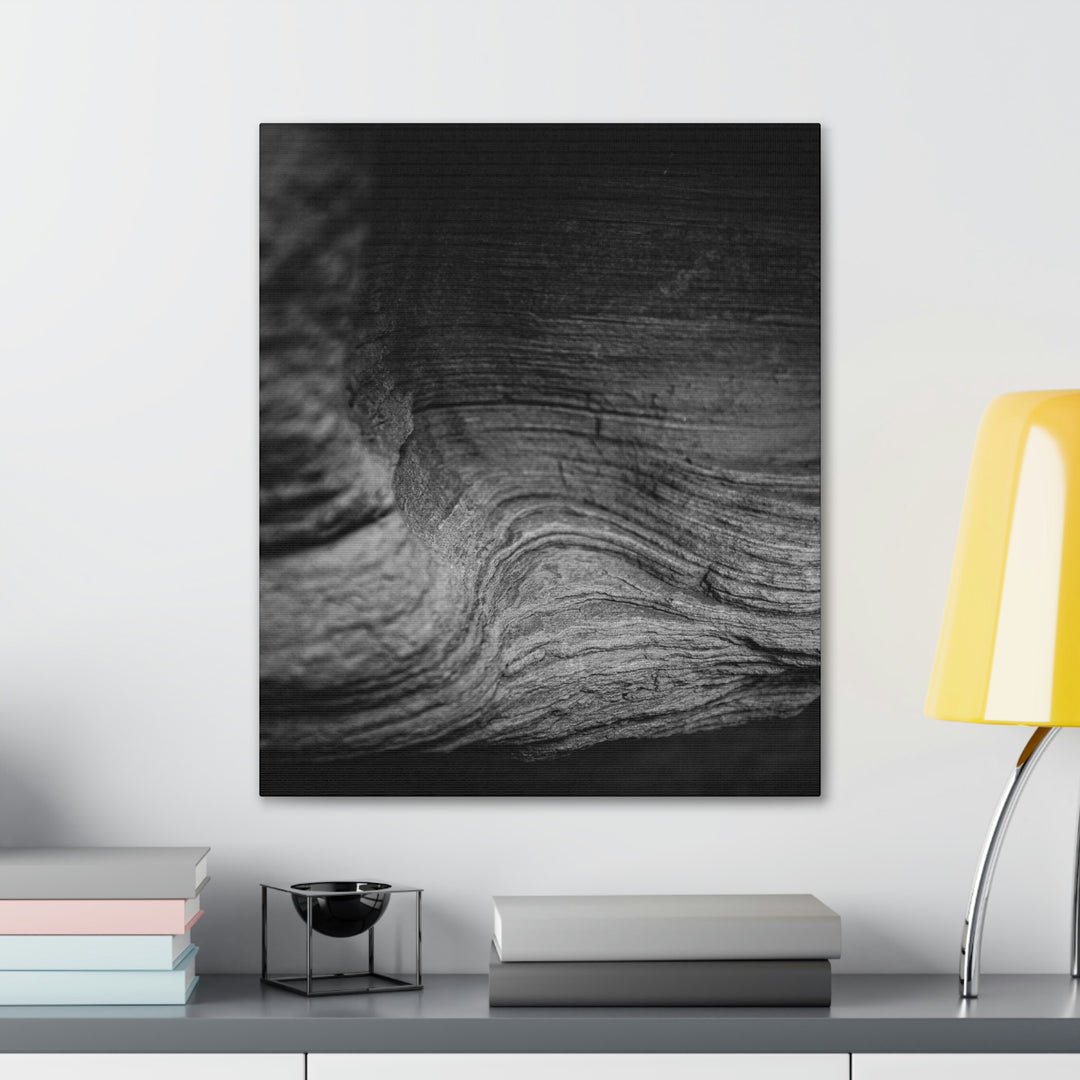 Sedimentary Rock Curves in Black and White - Canvas