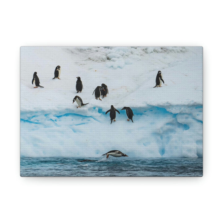 Porpoising Penguin - Canvas