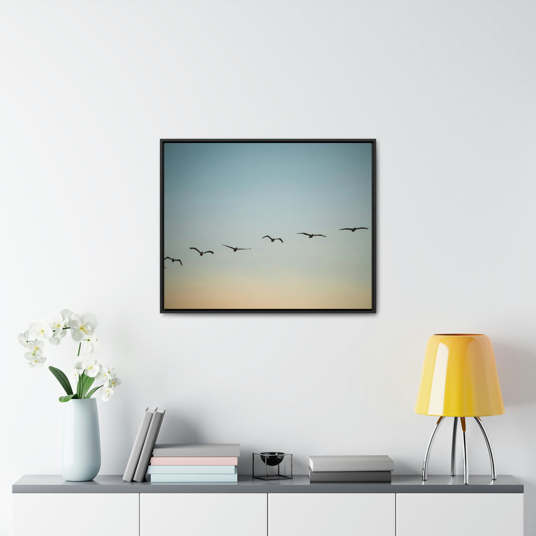 Brown Pelicans in Flight - Canvas with Frame