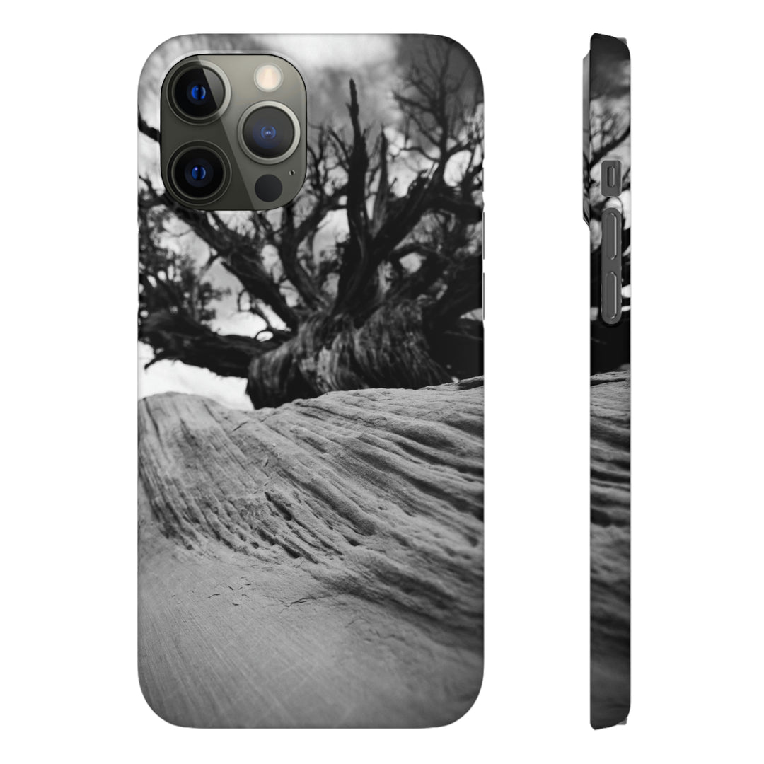 Desert Reach in Black and White - Phone Case