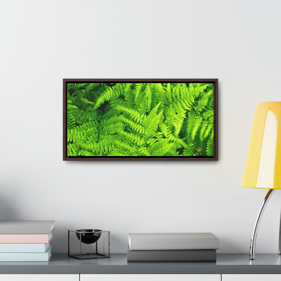 Ferns, Ferns, Ferns - Canvas with Frame