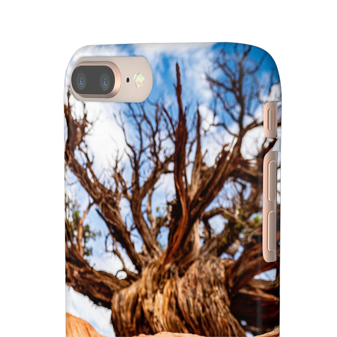 Desert Reach - Phone Case