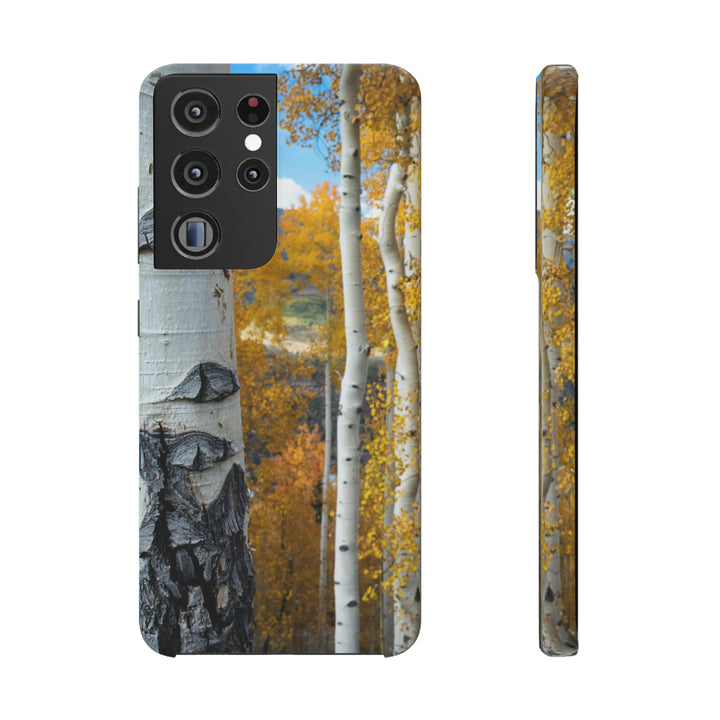 Aspens Changing - Phone Case