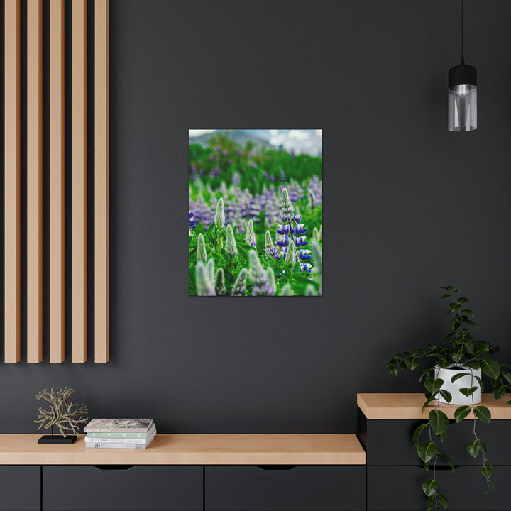 Glowing Lupin with Mountains - Canvas