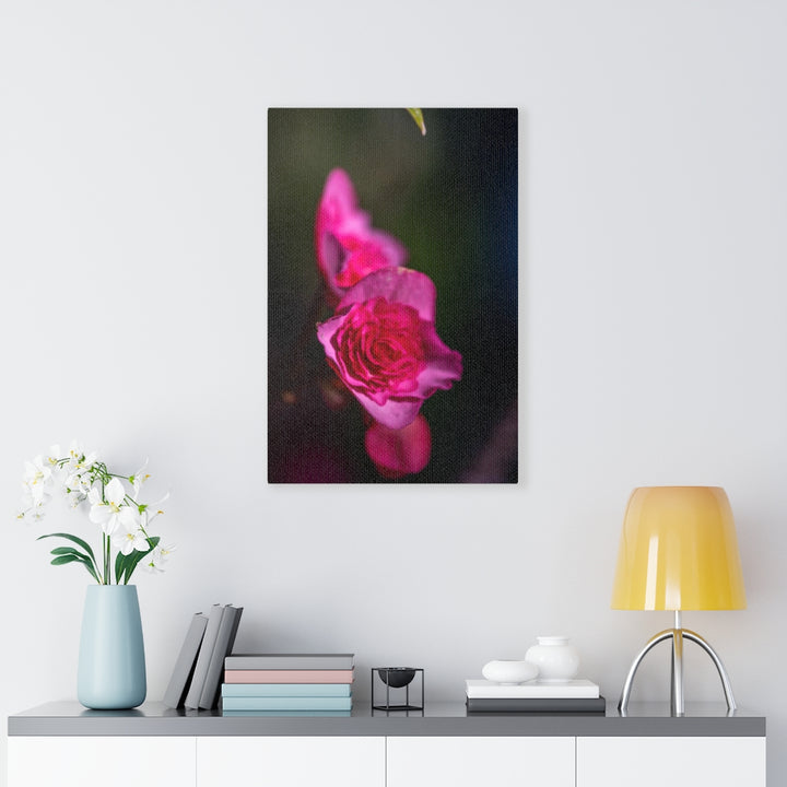 Hybrid Tea Lily - Canvas