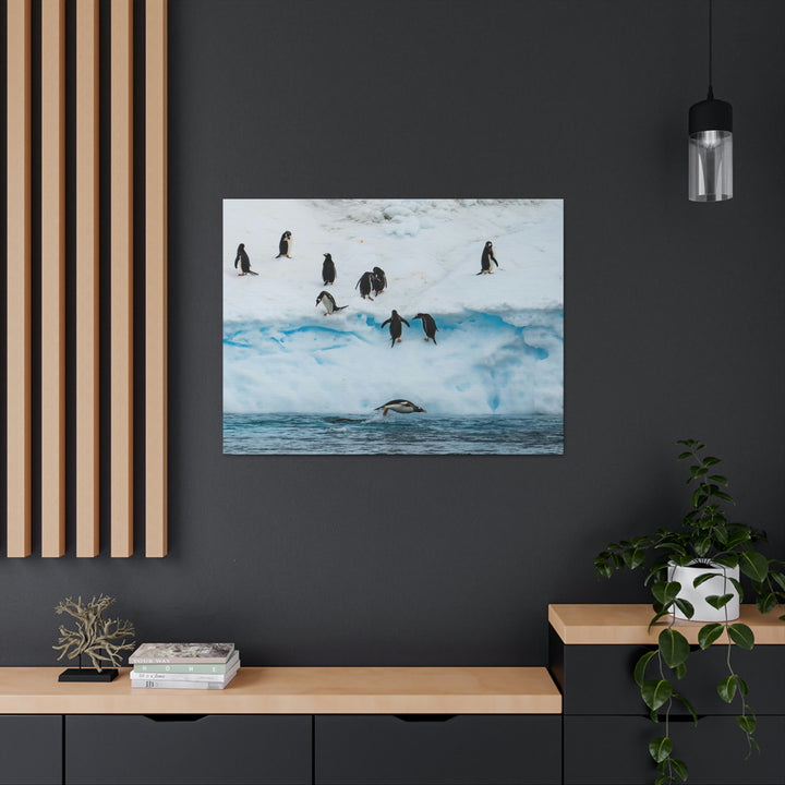 Porpoising Penguin - Canvas