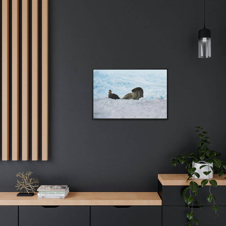 A Resting Pair - Canvas with Frame