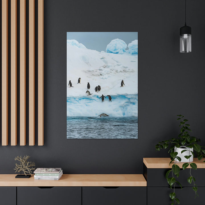 Porpoising Penguin - Canvas