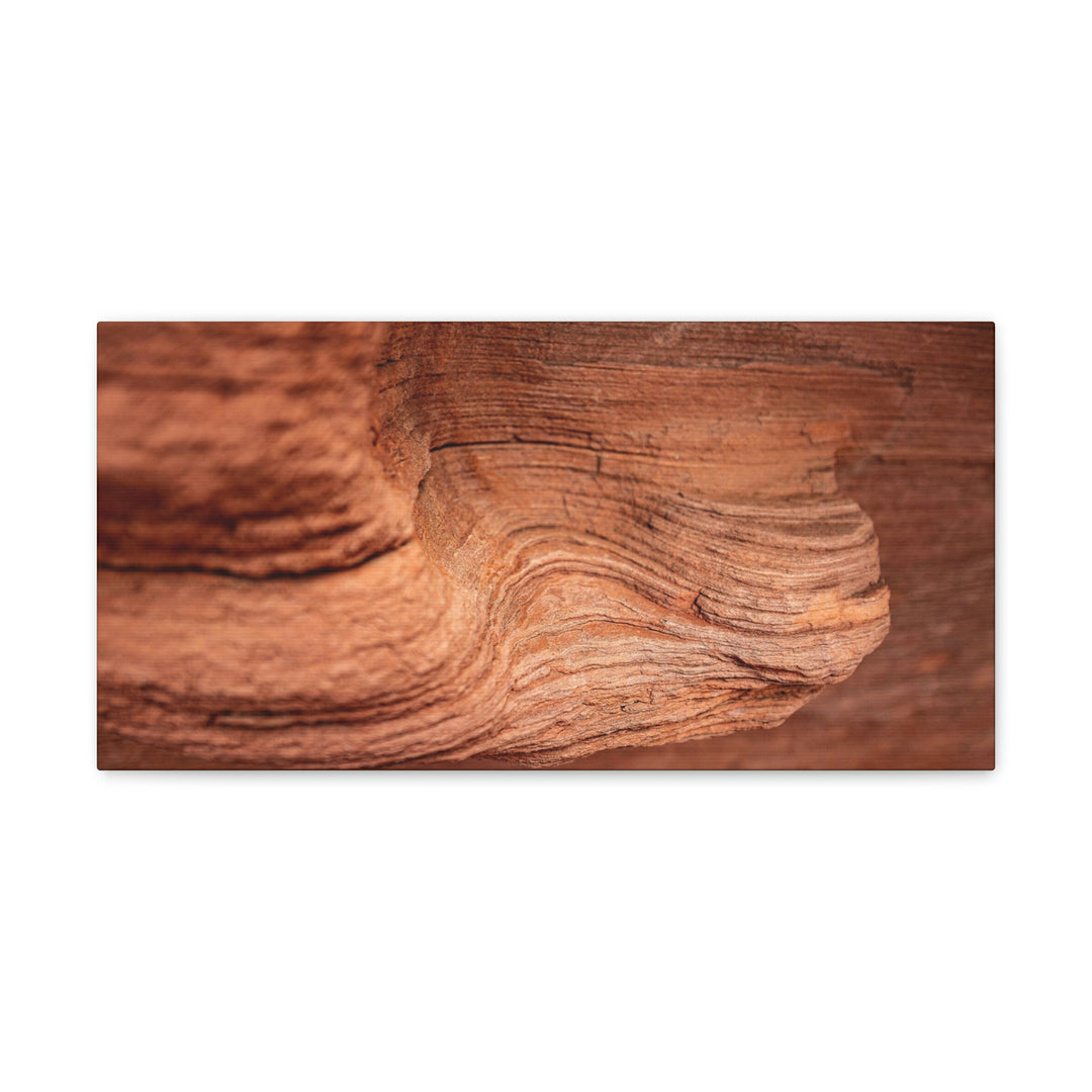 Sedimentary Rock Curves - Canvas