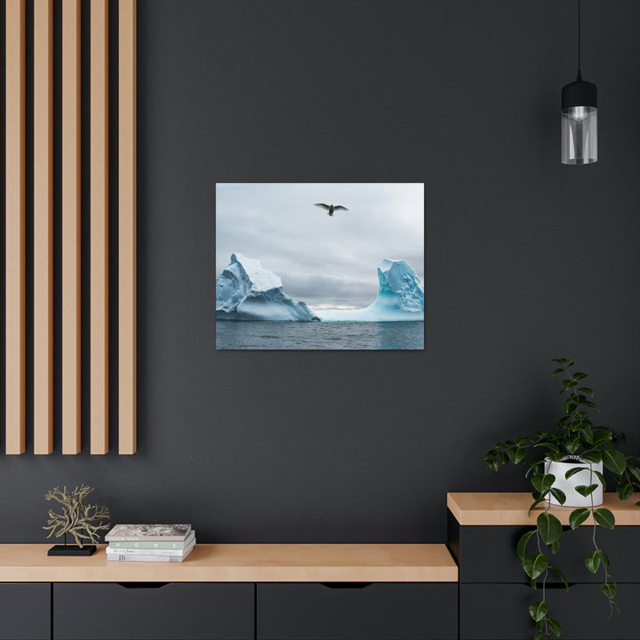 Antarctic Flight - Canvas