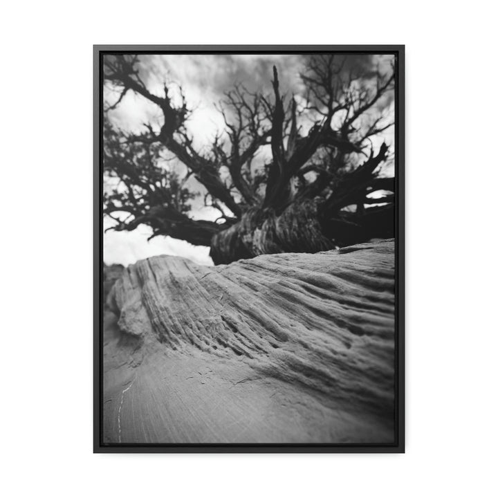 Desert Reach in Black and White - Canvas with Frame