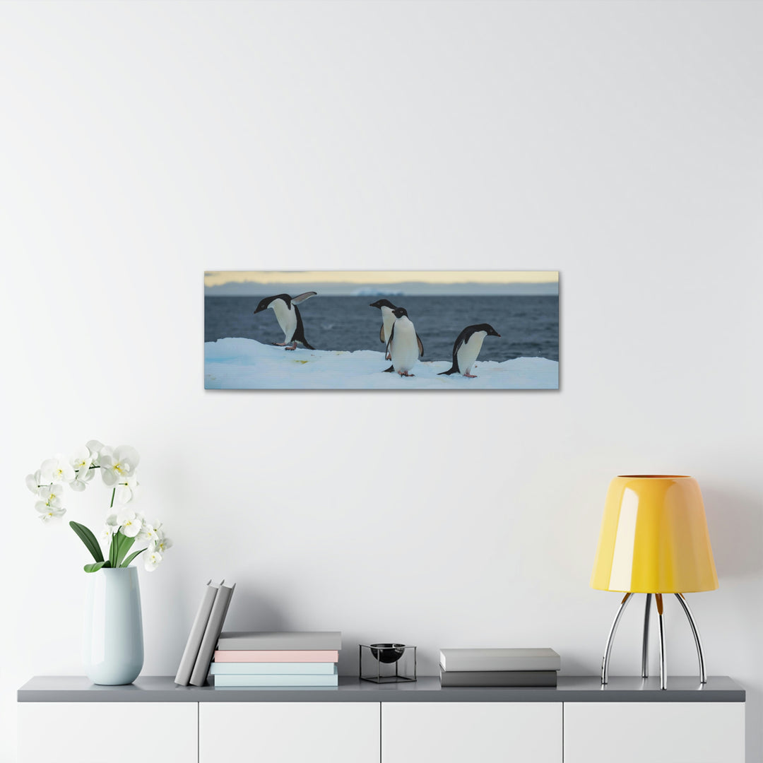 Penguin Dance - Canvas