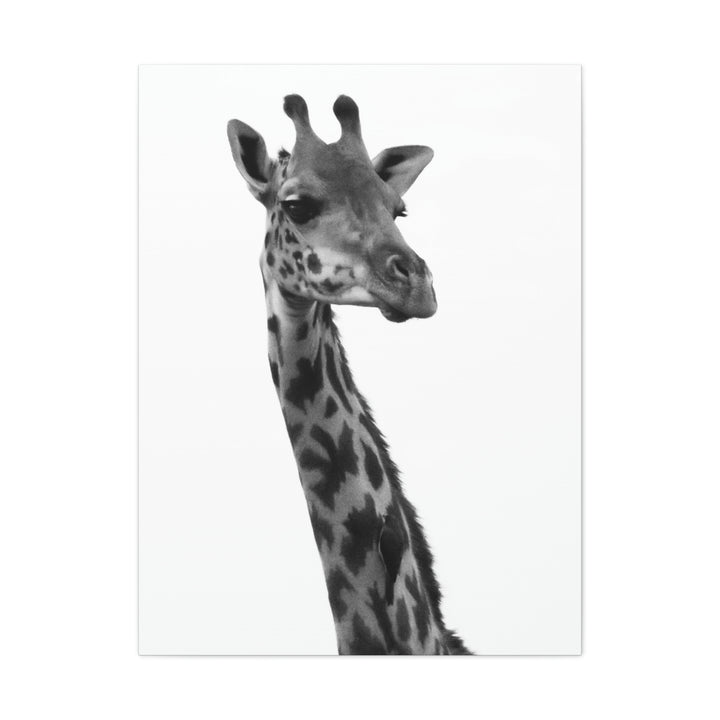 Giraffe Portrait in Black and White  - Canvas