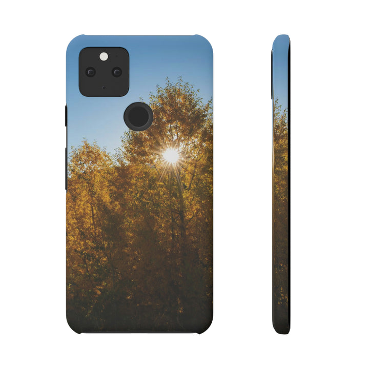 Sun Through the Aspens - Phone Case