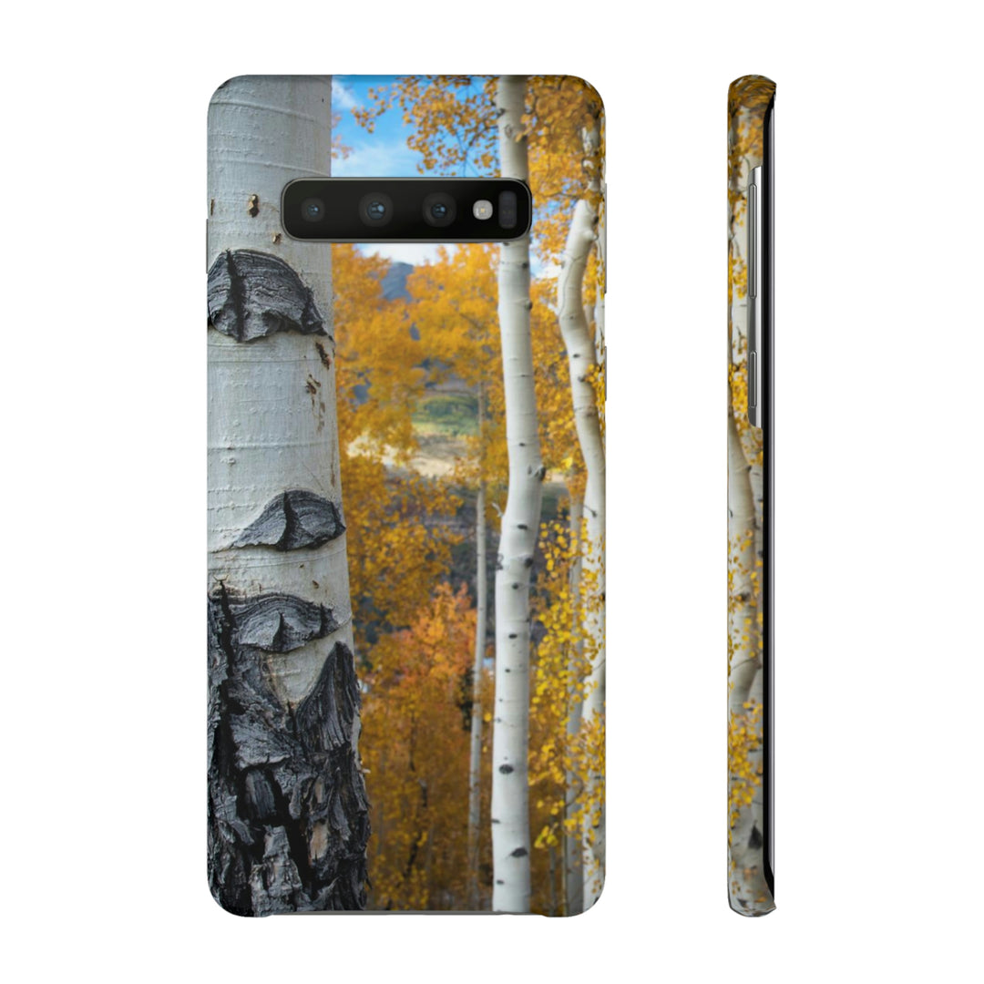 Aspens Changing - Phone Case