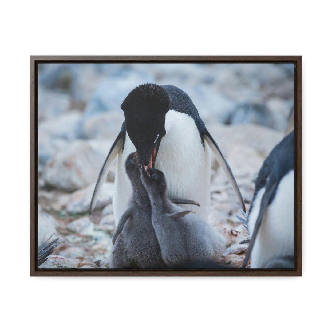 Feeding Time - Canvas with Frame