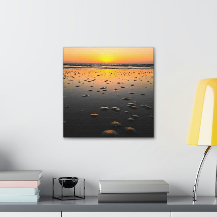 Burrows at Sunrise - Canvas