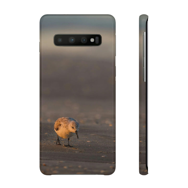 Feeding Sanderling - Phone Case