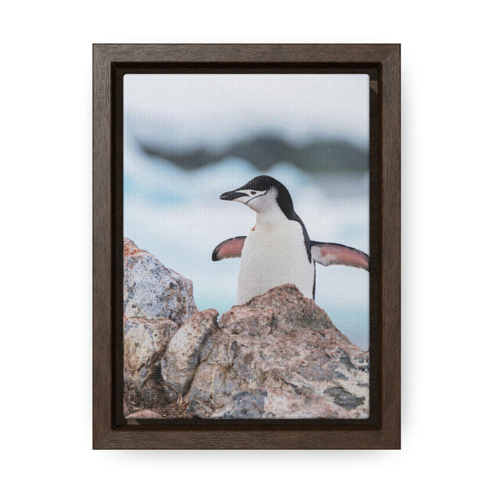 Stretched Penguin - Canvas with Frame