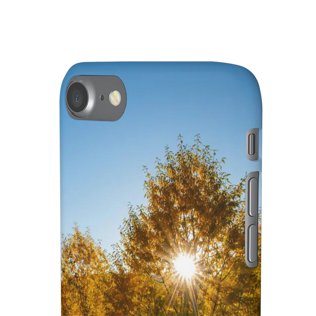 Sun Through the Aspens - Phone Case