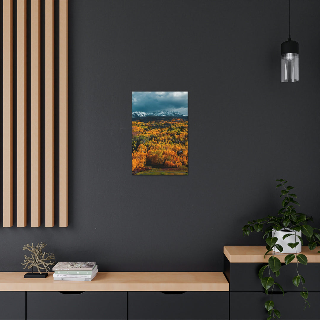 Golds of Autumn - Canvas