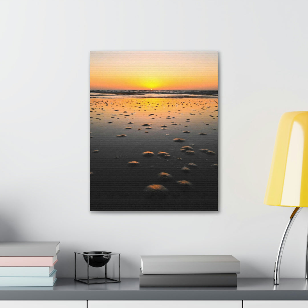 Burrows at Sunrise - Canvas