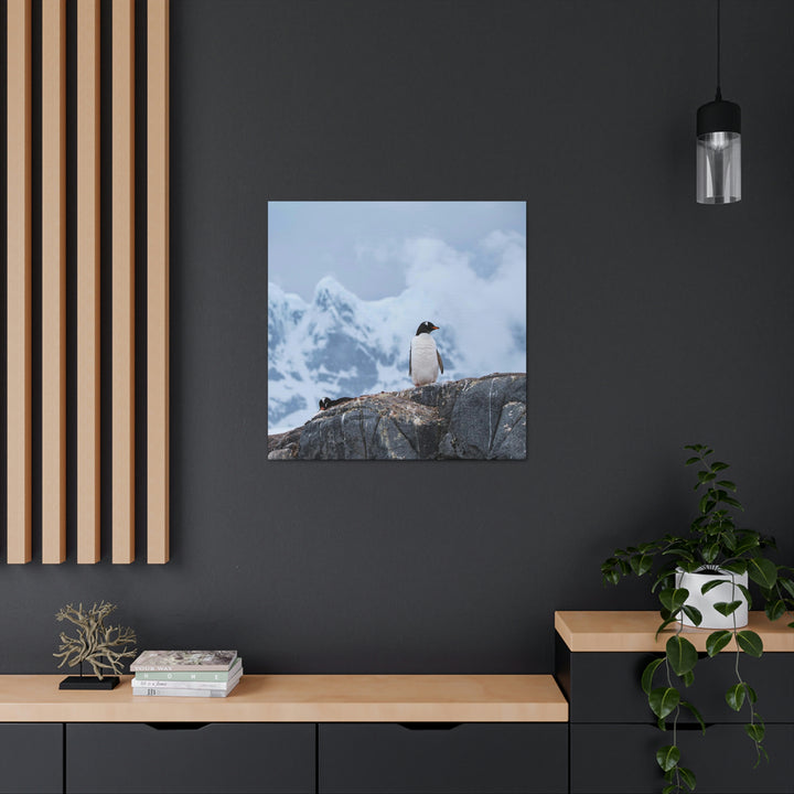 Poised Penguin - Canvas