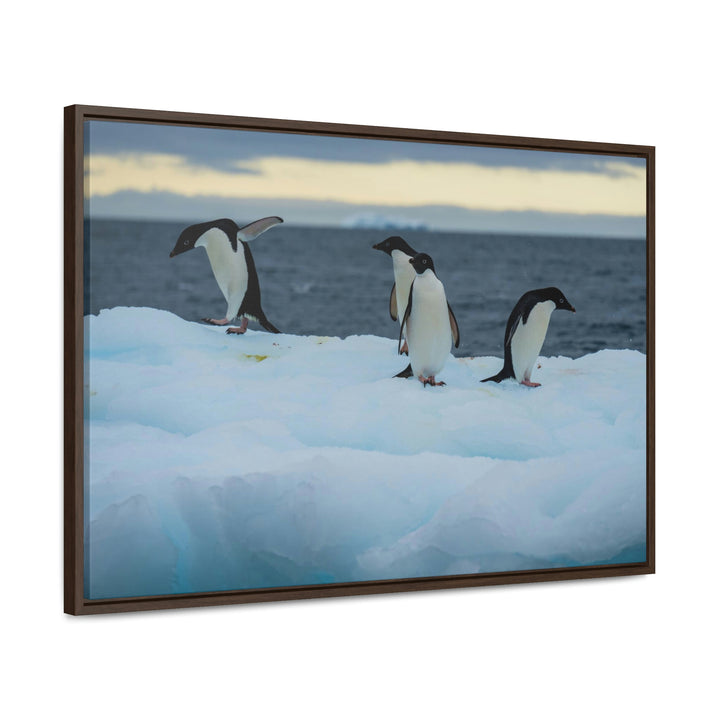 Penguin Dance - Canvas with Frame